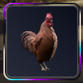 [Station Material Bundles] Scrappy level 1~2