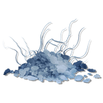 Minor Wither Salts — Pack of 100