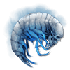 Umbral Scouring — Pack of 100