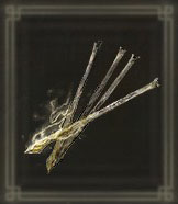 Lightningbone Bolt x99