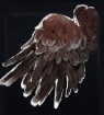 Capercaillie Wing x99