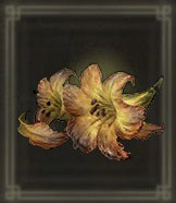 Erdleaf Flower x999