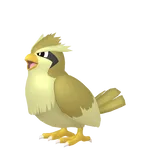 ✨#021-Pidgey - (Alpha Shiny MAX IVS - Lvl.100) - Held Master Balls