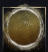 Fragile Medallion