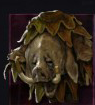 Snout Master's Cloak