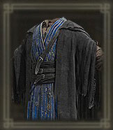 Preceptor's Long Gown