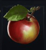 Silt Pear x99