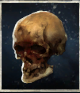 MEDIUM SKULL x99
